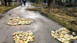Украинские дороги